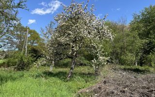 Ode an die Unordnung