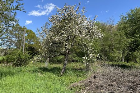 Ode an die Unordnung