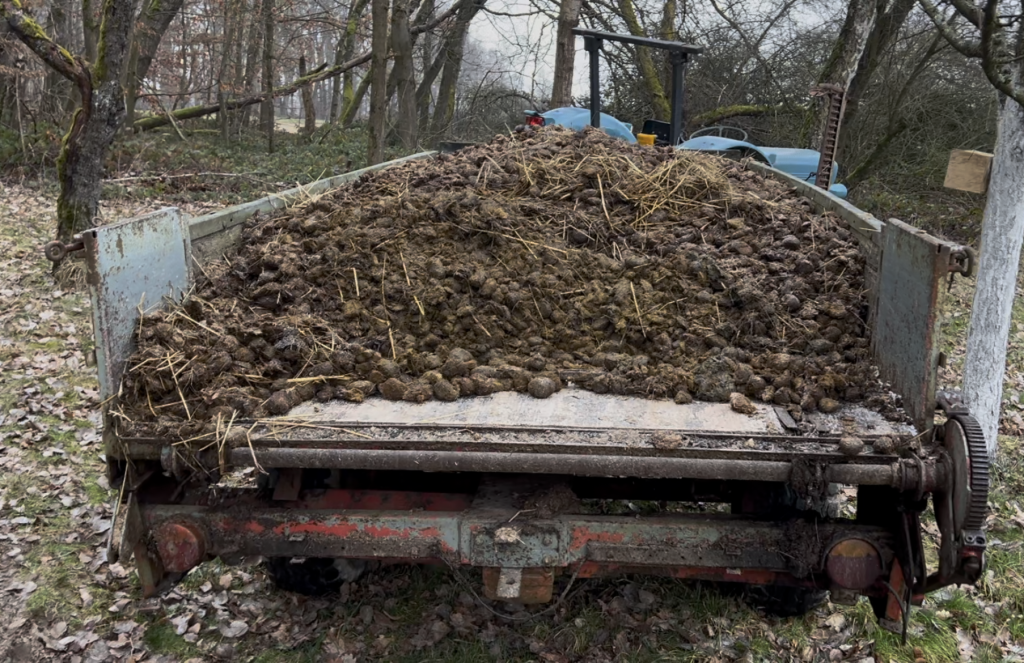 Mama, der Mann mit dem Koks, äh Mist, ist da