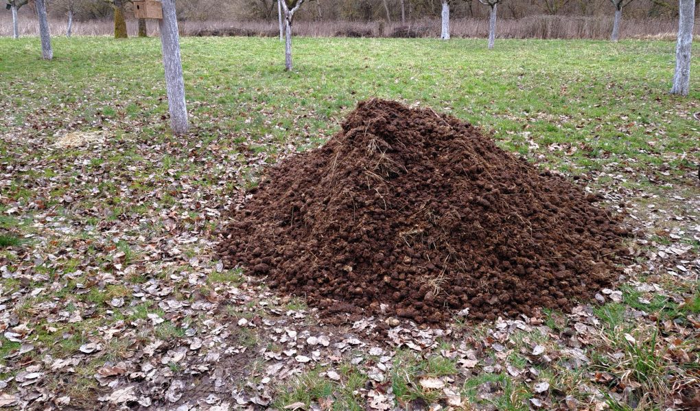 Pferdemist - Der Dünger der Äpfel für Äpfel