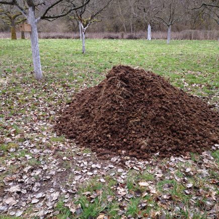 Pferdemist - Der Dünger der Äpfel für Äpfel