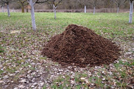 Pferdemist - Der Dünger der Äpfel für Äpfel