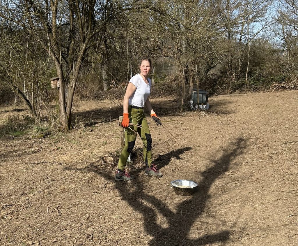 Kampf den letzten Brombeeren