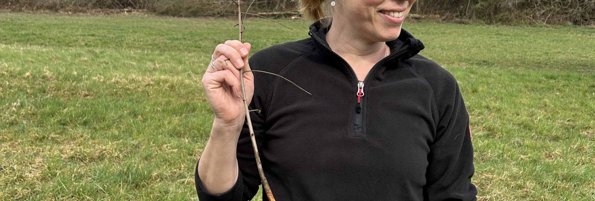 Kleiner Baum vor der Pflanzung