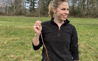 Kleiner Baum vor der Pflanzung