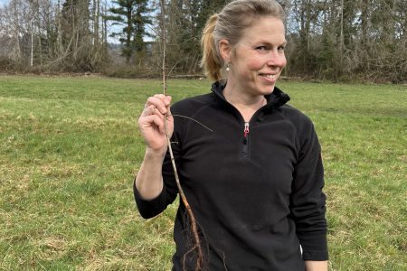 Kleiner Baum vor der Pflanzung