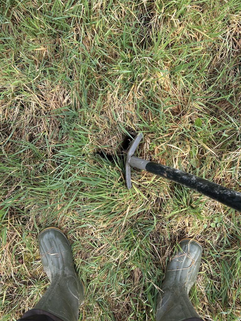 Spaltplanzloch in Kreuzform