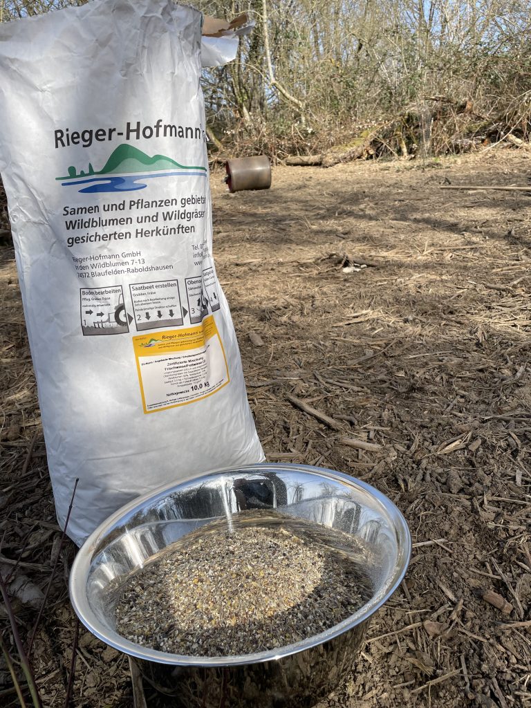 Samen für die Wiese